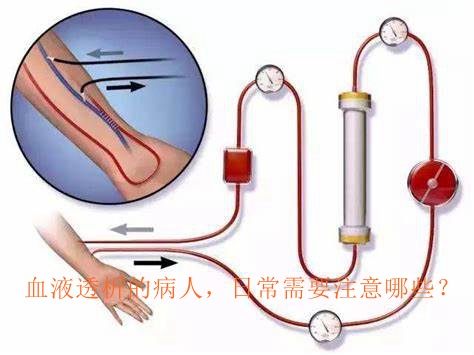 血液透析的病人，日常需要注意哪些？